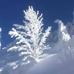 Cosy Lisiere De Foret Xonrupt-Longemer