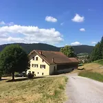 Cosy Lisiere De Foret