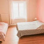 Cosy Lisiere De Foret 木屋