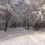 Cosy Lisiere De Foret Chalet *