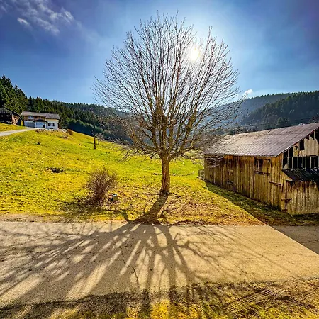 Cosy Lisiere De Foret Xonrupt-Longemer