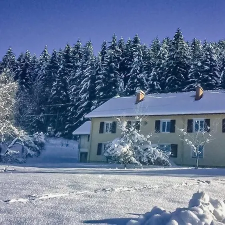 Chalet Cosy Lisiere De Foret Xonrupt-Longemer