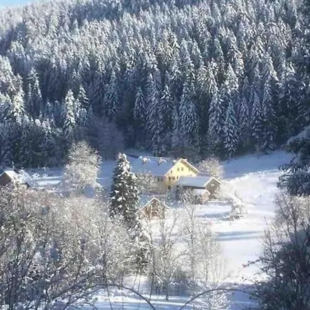 Cosy Lisiere De Foret * Xonrupt-Longemer