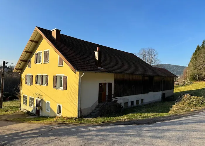 Cosy Lisiere De Foret *