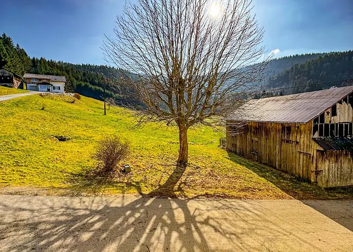 Cosy Lisiere De Foret Xonrupt-Longemer