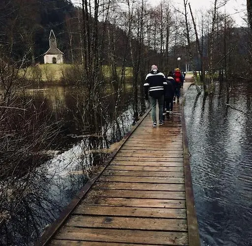 Cosy Lisiere De Foret *