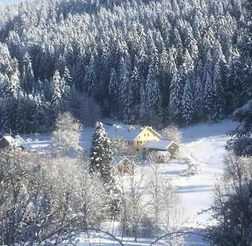 Cosy Lisiere De Foret * Xonrupt-Longemer