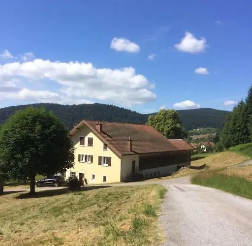 Cosy Lisiere De Foret