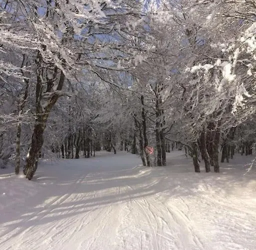 Cosy Lisiere De Foret Horská chata *
