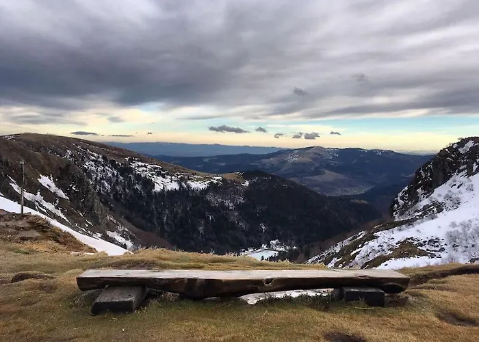 Cosy Lisiere De Foret * Xonrupt-Longemer